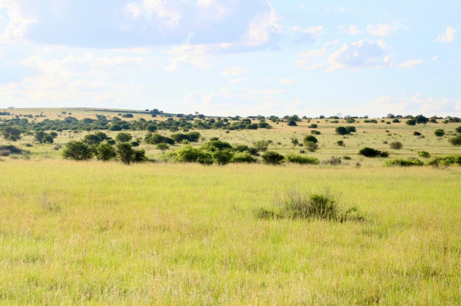 0 Bedroom Property for Sale in Heilbron Free State